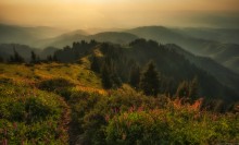 Mountain evening / ***