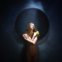 Black sun / ***