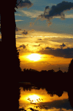 Evening in the park / ...
