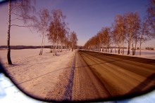 Track / ***