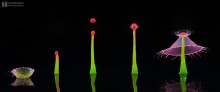 Splash "the story of one drop" / https://vk.com/club68791779