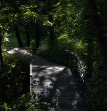 Bridge / ***