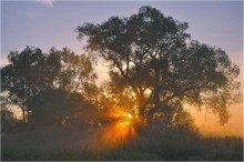 Anthem Sommermorgen / ***