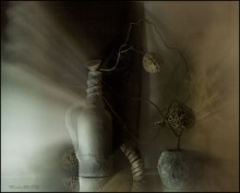 The Creation / ***