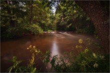 Circling Whirlpools .... / ***