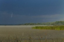 Summer rain / ***