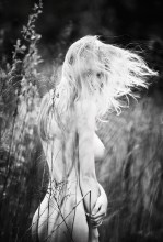 Wind / westkis.com