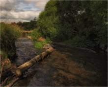 ... &quot;Forellen Trails&quot; XVIII ... / ***