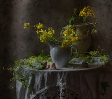 Flowers meadow ... / ...