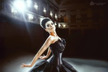 Black swan / ---