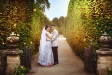 Fabulous gardens / ***