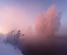 Paints winter morning / ***