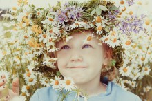In the daisies / ***