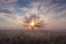 Lone dawn / ***