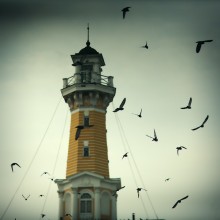 Fire tower surrounded by birds / ***