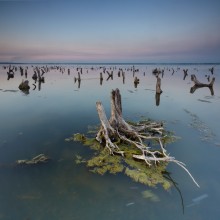 On a visit to the water / ***