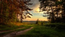 Summer on the edge / ***