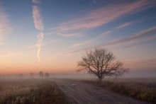Before dawn / ***