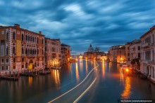 Motion of Venice. / ***