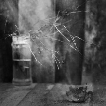 Last ... / ....................