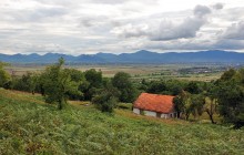 In the abandoned gardens / ***