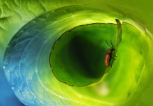 Catch the big wave / ***
