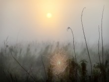 From Dusk Till Dawn ... / ***