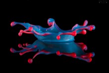 Splash "crown jester" / ***