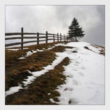 Carpathian Sketches / ***