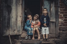  / ***
