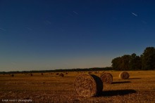 Night field / .......