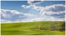 Spring landscape / ***