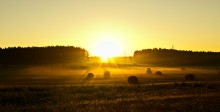 September morning / ***