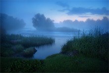 Twilight of the Southern Bug / ***