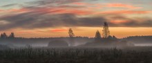 Am frühen Morgen Bild. / ***