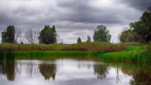 karasitut / ***