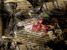 Blumen auf dem Grab der Presse / ***