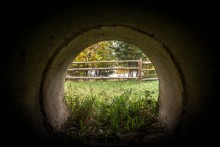 Ausgang / ***
