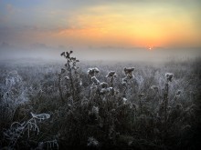 Waiting for the dawn ... 2. / ***