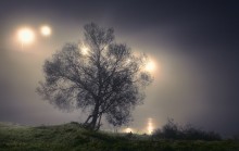 meditation mist / ...