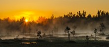 Sonnenaufgang / ***