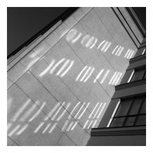 x-ray / ***