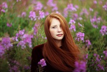  / Alina Orlova – Fireflies