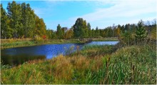Autumn / ***