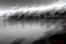 beach / ***