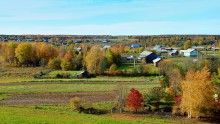 Autumn next ... / ***