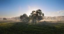 Licht mit Nebel beschlossen, spielen / ***