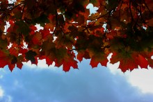 Orange Sky / ***