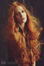 Phoenix / ***