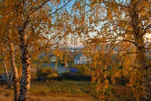 gold autumn / ***